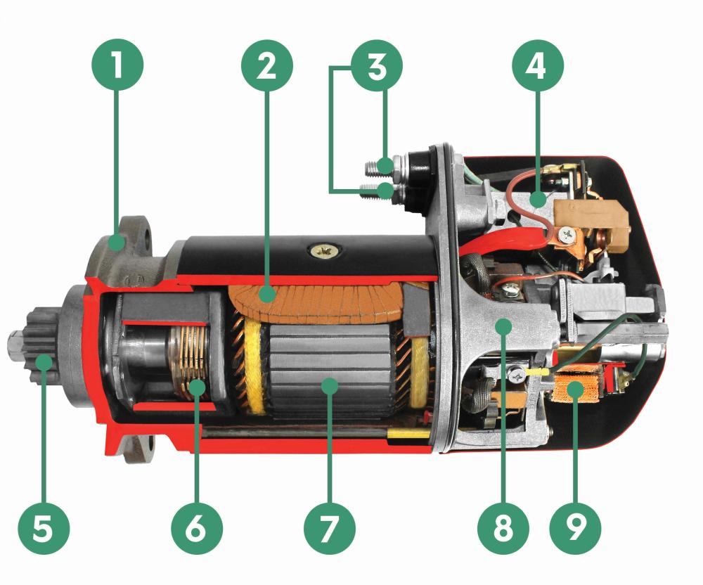 Startér je elektrické zařízení v automobilu, které slouží k nastartování motoru. Jeho hlavní úkol je dodatečný točivý moment k roztočení motoru, aby mohl začít spalovat směs paliva a vzduchu. Startér se skládá z několika důležitých součástí níže je řez startéru nákladního vozu: