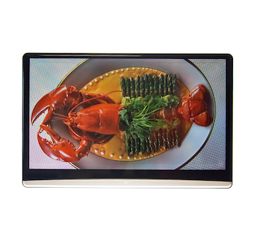 LCD monitor 13,3 OS Android/USB/SD/HDMI in/out s držákem na opěrku, STM DS-X133AAH